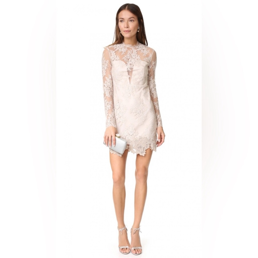 Taylor Leonora dress NWT